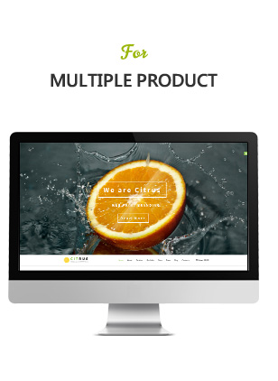 Citrus - One Page Shopify Theme - 4